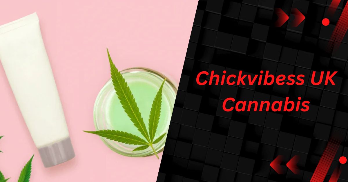 Chickvibess UK Cannabis - Uncover The Truth Here!